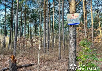 Photo Mar 15 2023 8 19 42 AM