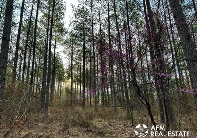 Photo Mar 15 2023 8 24 22 AM