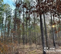 Photo Mar 15 2023 8 27 52 AM