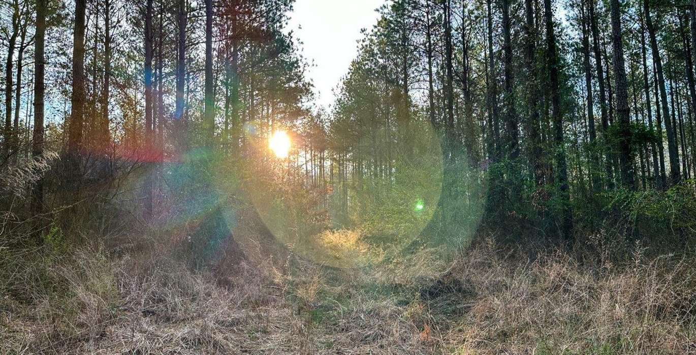 Photo Mar 15 2023 8 22 02 AM