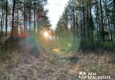 Photo Mar 15 2023 8 22 02 AM