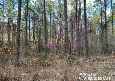 Photo Mar 15 2023 8 22 39 AM