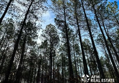 Photo Mar 15 2023 8 22 48 AM