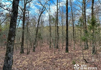 Photo Mar 15 2023 8 34 51 AM