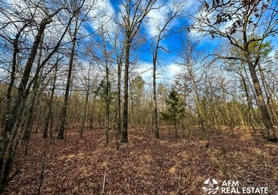 Photo Mar 15 2023 8 35 08 AM