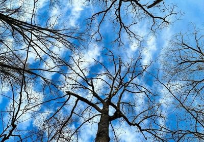Photo Mar 15 2023 8 35 25 AM