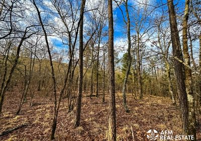 Photo Mar 15 2023 8 35 56 AM