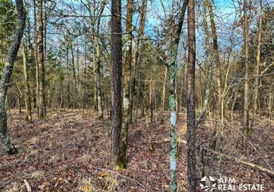 Photo Mar 15 2023 8 36 05 AM