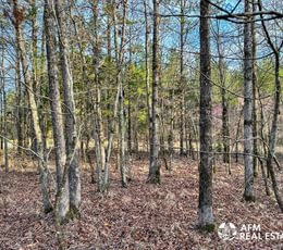 Photo Mar 15 2023 8 36 14 AM