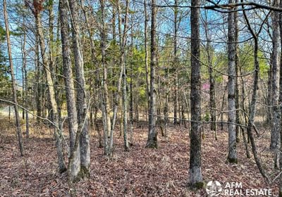 Photo Mar 15 2023 8 36 14 AM
