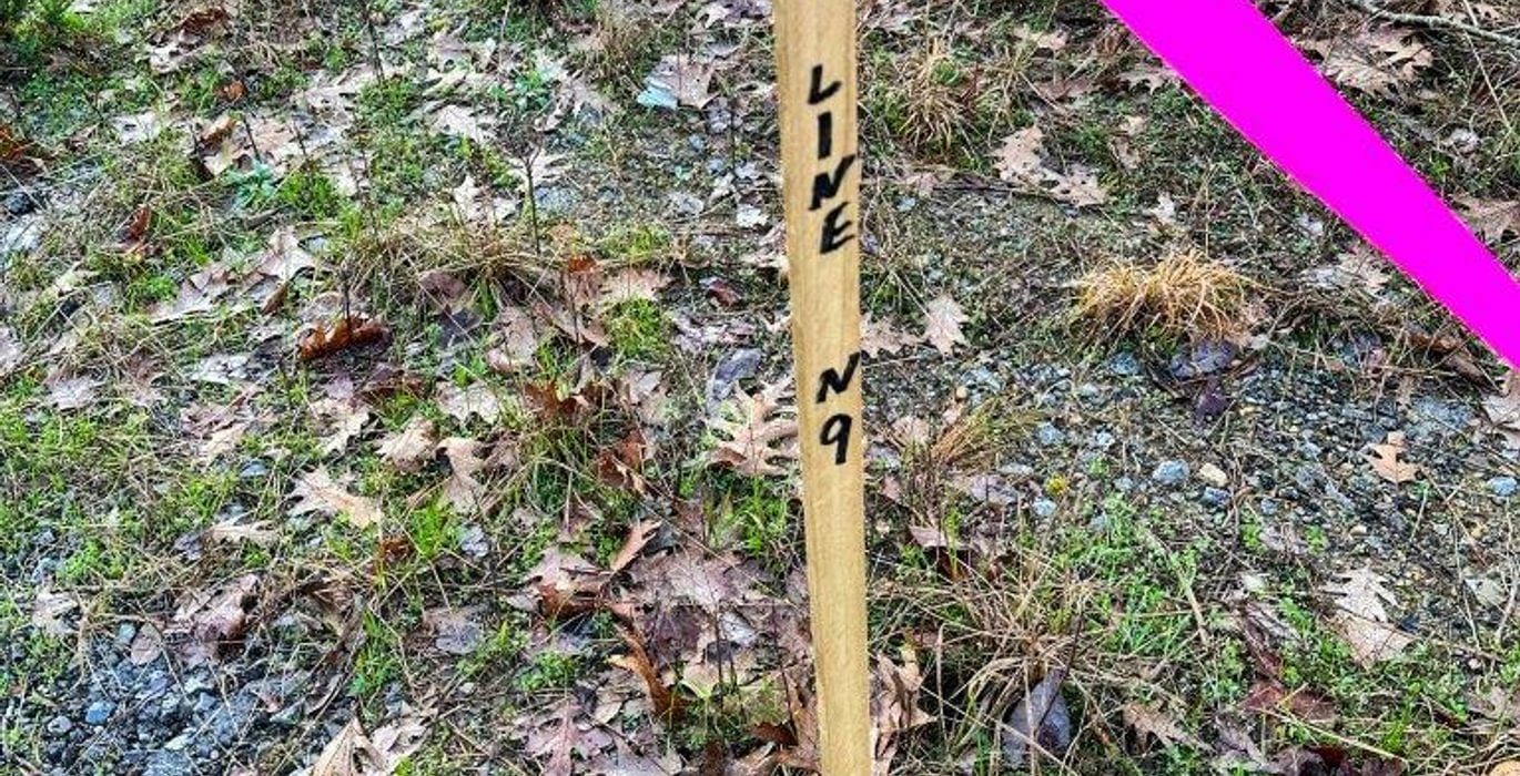 Photo Mar 15 2023 8 32 22 AM