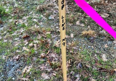 Photo Mar 15 2023 8 32 22 AM