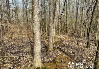 Photo Mar 15 2023 2 56 41 PM