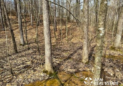 Photo Mar 15 2023 2 56 57 PM