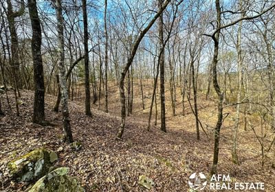 Photo Mar 15 2023 2 58 29 PM