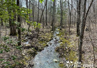 Photo Mar 15 2023 3 14 47 PM