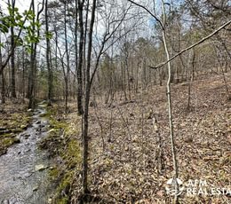 Photo Mar 15 2023 3 14 55 PM
