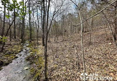Photo Mar 15 2023 3 14 55 PM
