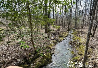 Photo Mar 15 2023 3 14 51 PM