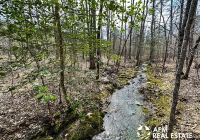 Photo Mar 15 2023 3 14 52 PM