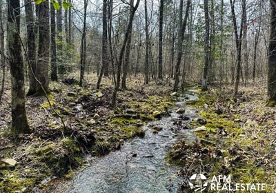 Photo Mar 15 2023 3 15 30 PM