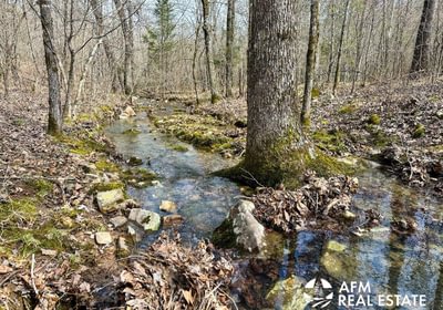 Photo Mar 15 2023 3 16 35 PM