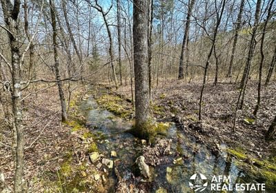 Photo Mar 15 2023 3 16 44 PM