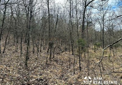 Photo Mar 15 2023 3 10 57 PM