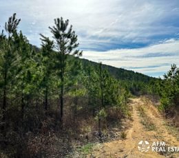 Photo Mar 15 2023 3 57 19 PM
