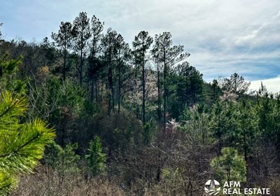 Photo Mar 15 2023 3 58 10 PM
