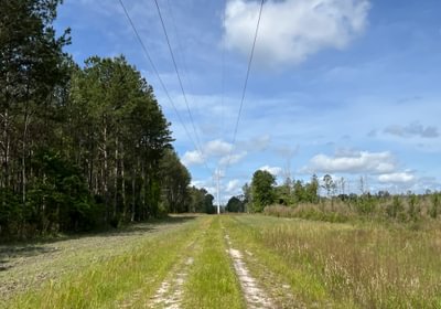 Powerline