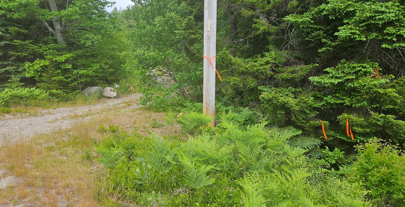 Prop corner along Route 1 adj to access road
