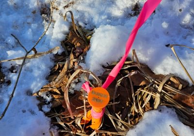 Property corner pin north line west side of High St