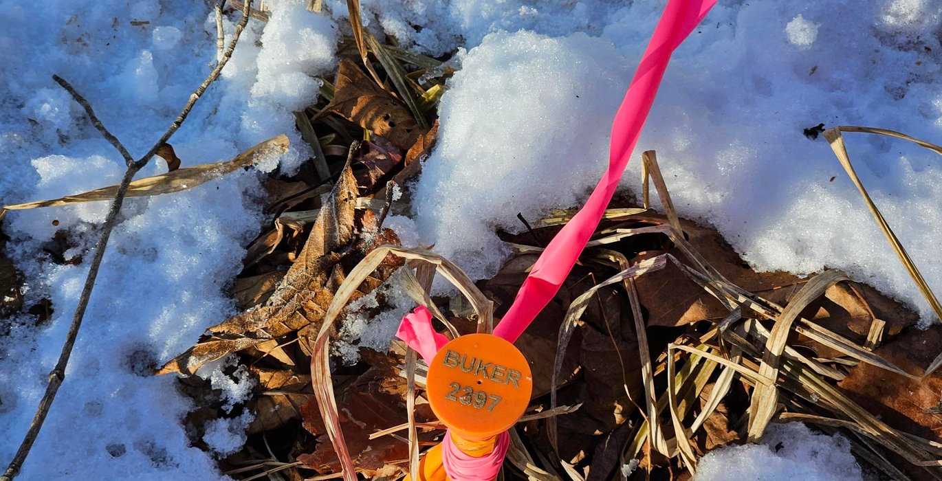 Property corner pin north line west side of High St