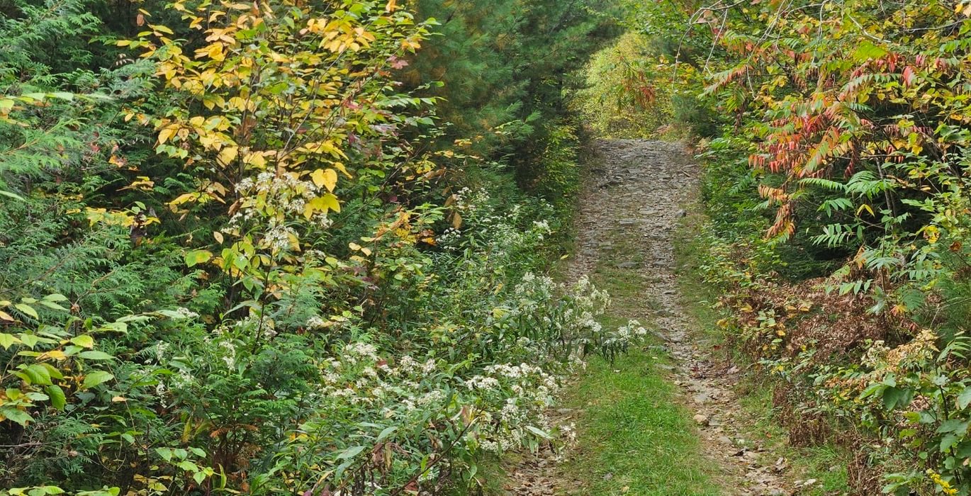 ROW near lot steep and rocky