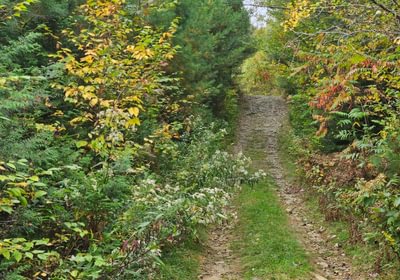 ROW near lot steep and rocky