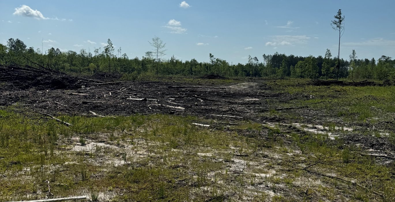 Raiford 241 acres CR229 2
