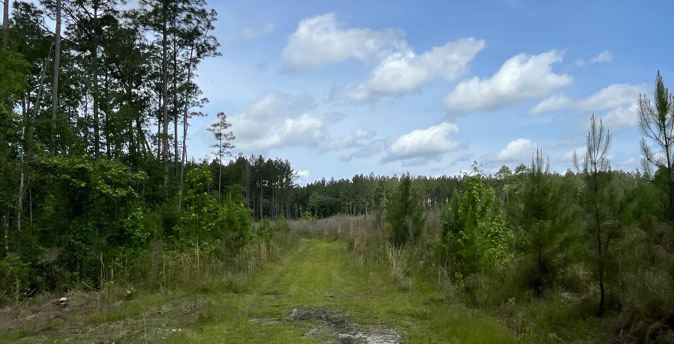Roads for riding