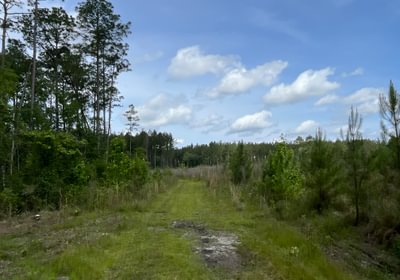 Roads for riding