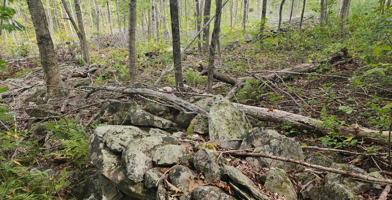 Rock Wall near Howes Pond