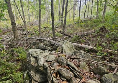 Rock Wall near Howes Pond
