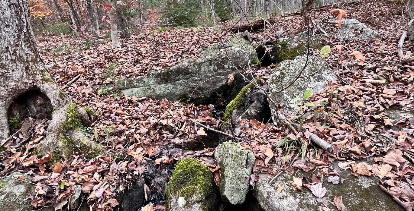 Running stream or spring