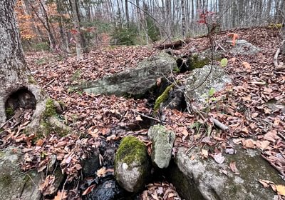 Running stream or spring