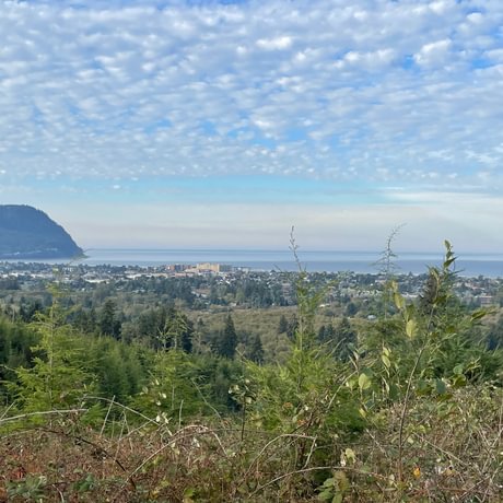 Oregon Coast Range Forest Land