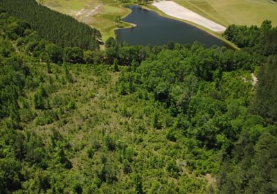 SAVHWY HILL Pond