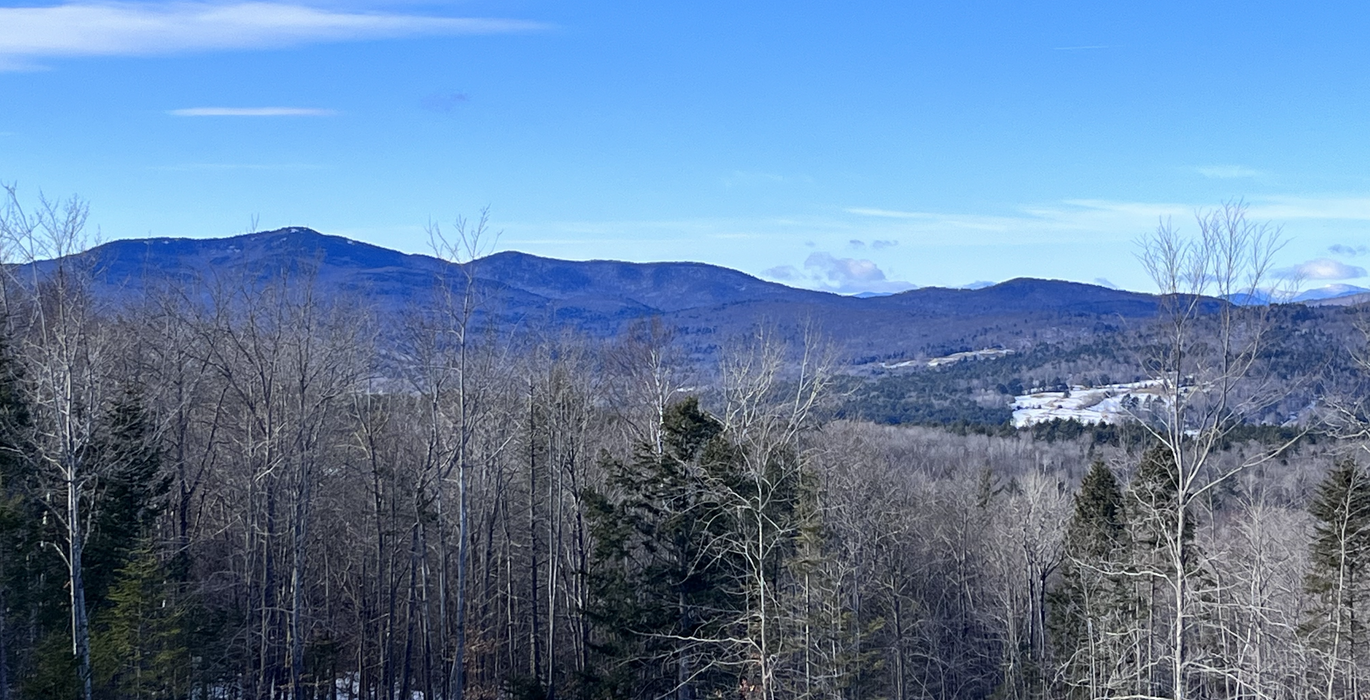 Screen Shot 2023 12 20 at 2 12 08 PM