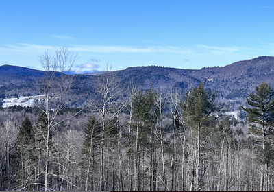 Screen Shot 2023 12 20 at 2 15 01 PM