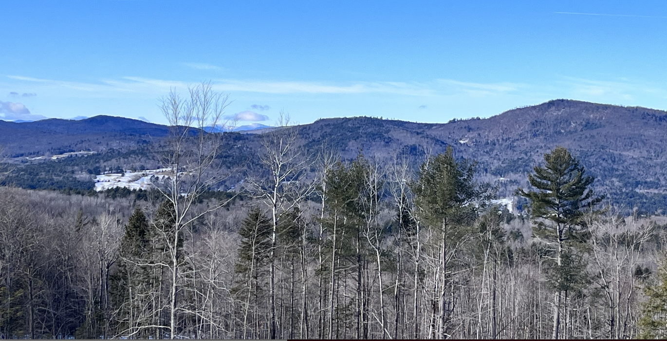 Screen Shot 2023 12 20 at 2 15 01 PM