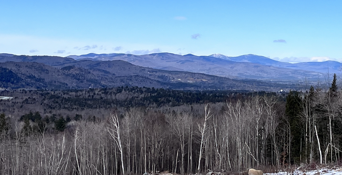 Screen Shot 2023 12 20 at 2 15 26 PM