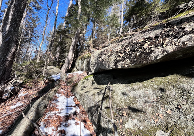 Screen Shot 2023 12 20 at 2 34 31 PM